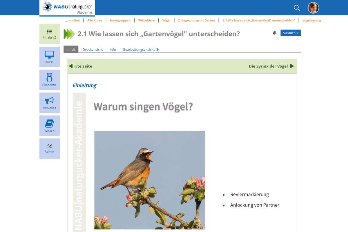 Blick ins Lernangebot Vögel der NABU|naturgucker-Akademie