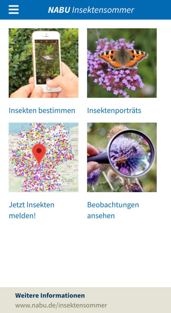 Startseite der WebApp NABU Insektensommer