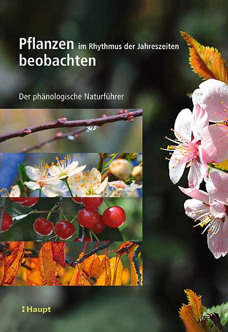 Buchcover Pflanzen im Rhythmus der Jahreszeiten beobachten, Haupt Verlag
