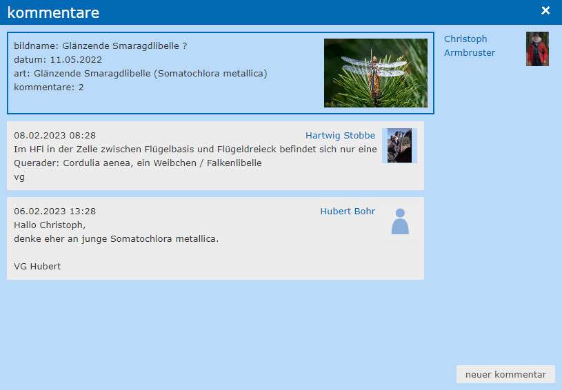 Kommentarfenster mit Bestimmungshinweisen auf NABU-naturgucker.de