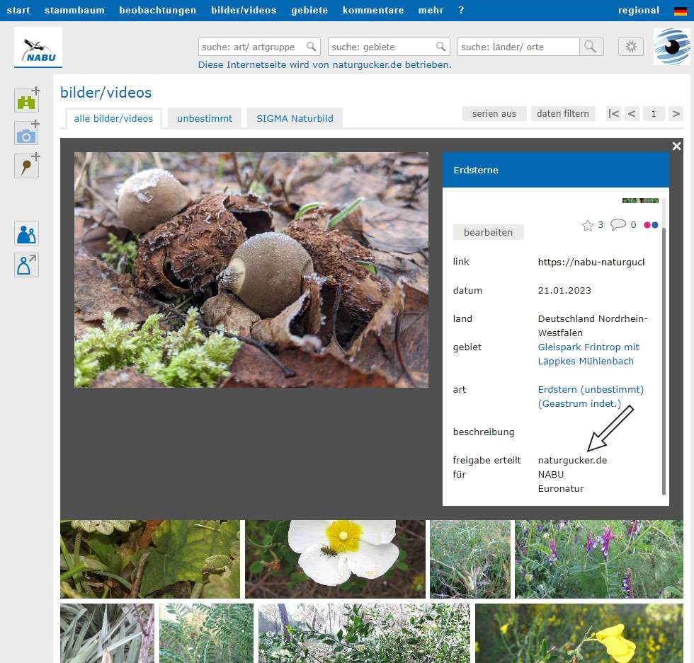 Anzeige der Freigabeeinstellungen für Bildnutzungsrechte in der Desktop-Seitenversion von NABU-naturgucker.de