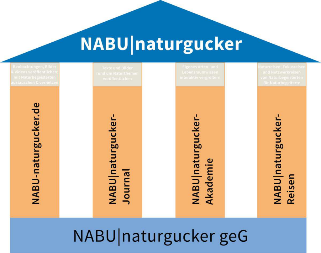 Das NABU|naturgucker-Universum
