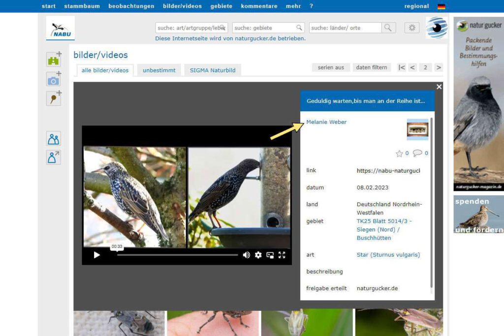 Urheberrechtskennzeichnung eines Videos in der Desktop-Seitenversion von NABU-naturgucker.de
