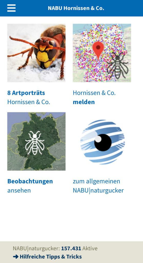 Startseite der WebApp NABU Hornissen & Co.