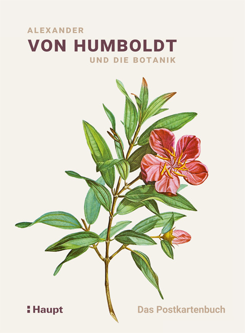 Alexander von Humboldt und die Botanik – Das Postkartenbuch