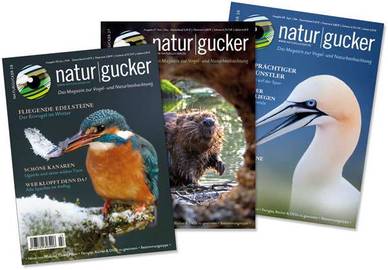 Drei Ausgaben des Naturgucker-Magazins