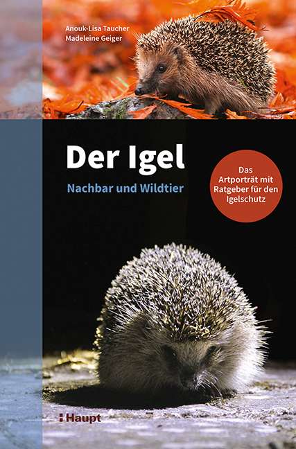 Der Igel – Nachbar und Wildtier: Das Artporträt mit Ratgeber für den Igelschutz