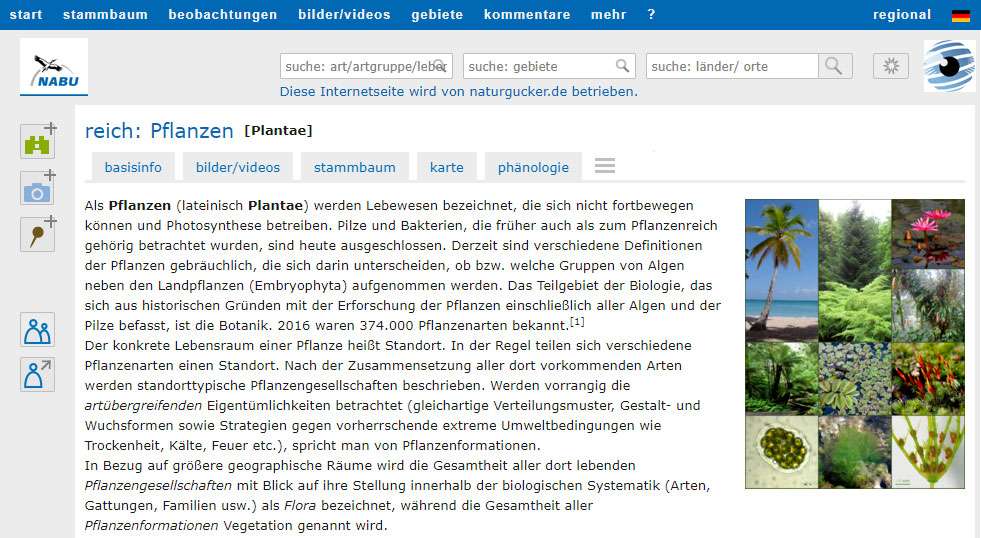 Lexikonbeitrag in einem Porträt eines Reichs auf NABU-naturgucker.de