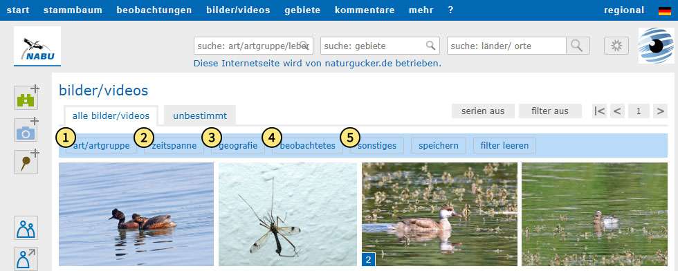 Die fünf Filterkategorien auf NABU-naturgucker.de