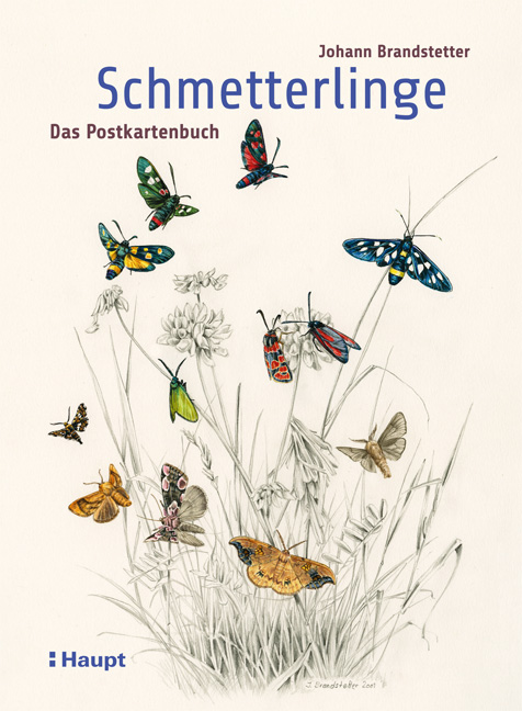 Schmetterlinge – Das Postkartenbuch