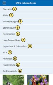 Einträge des Hauptmenüs der mobilen Meldeseite von NABU-naturgucker.de