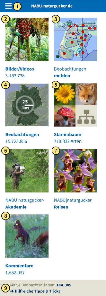 Startseite der mobilen Seitenversion von NABU-naturgucker.de