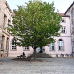 Baum vor der historischen Paulinerkirche in Göttingen, (c) Ina Siebert