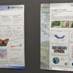 Poster des Projektes ‚Langenholzen – Natur entdecken‘ und eines unserer Forschungsposter, (c) Gaby Schulemann-Maier