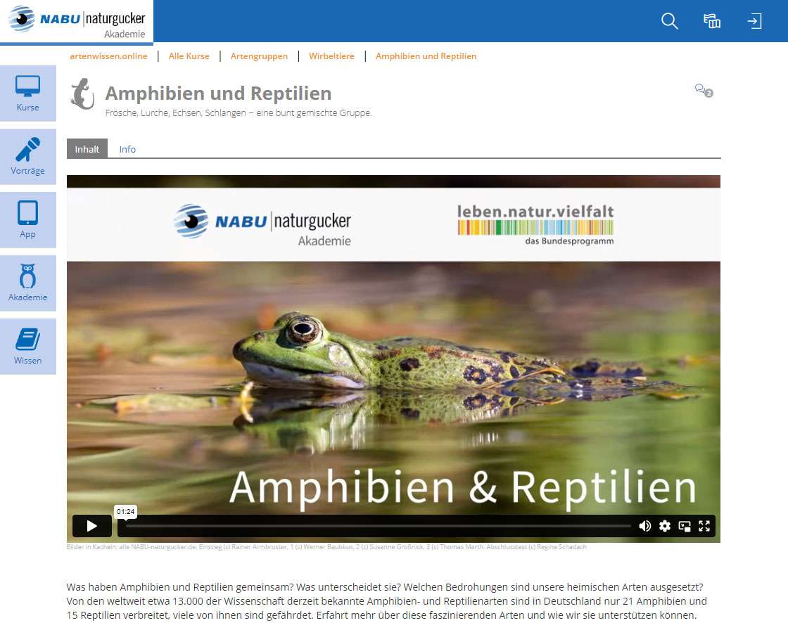 Lernthema Amphibien und Reptilien der NABU|naturgucker-Akademie