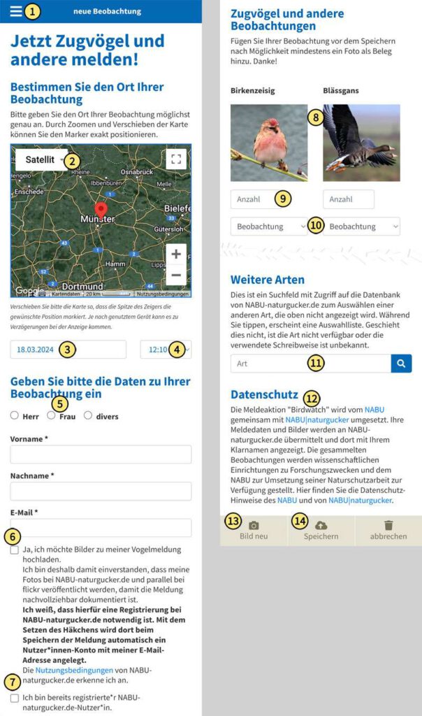 Neue Beobachtung mit bebildertem Formular auf der Aktionsseite NABU Birdwatch erfassen