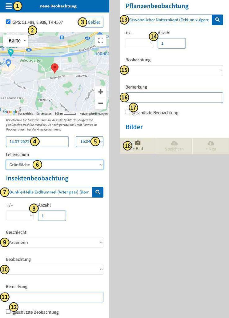 Formular zum Hochladen von Beobachtungen auf der Aktionsseite Stadtinsekten